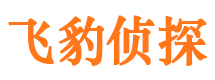 新县外遇调查取证